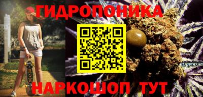 индика Кулебаки