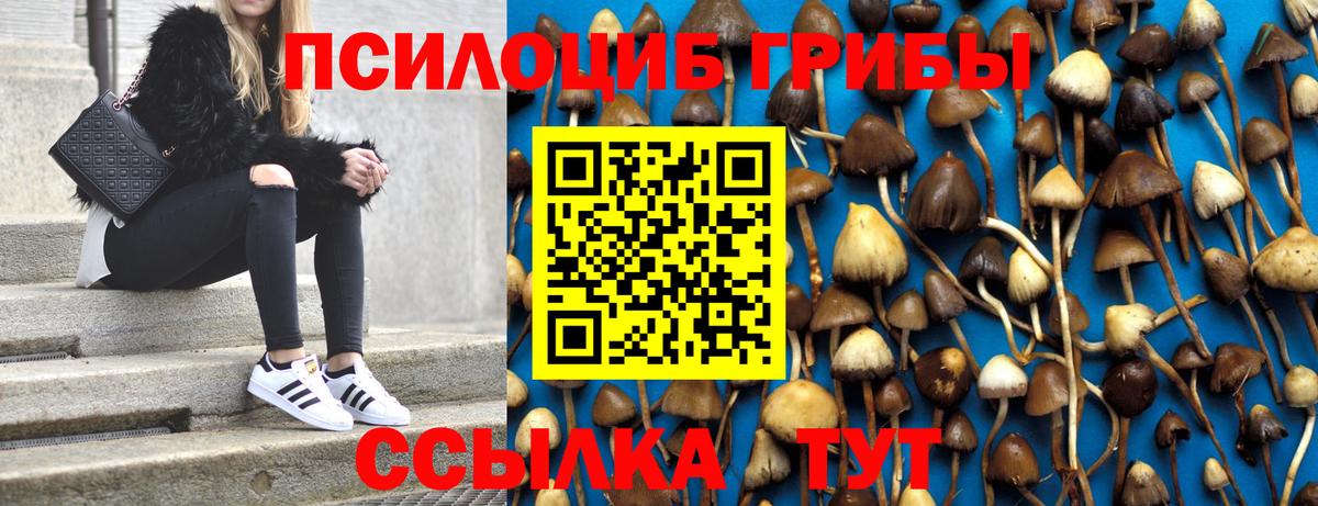 Псилоцибиновые грибы MAGIC MUSHROOMS Тулун